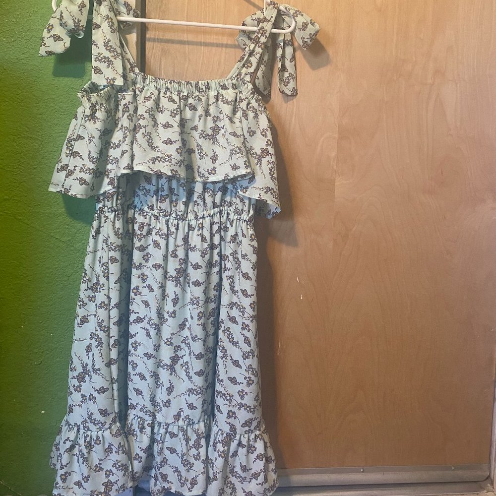 Francesca's Mint Green Floral Dress w/ Tie Straps